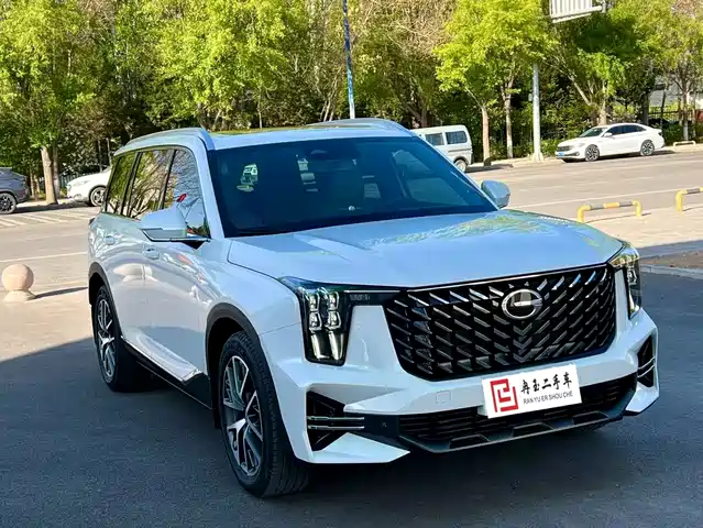 Gac Trumpchi Trumpchi Gs8 — фото