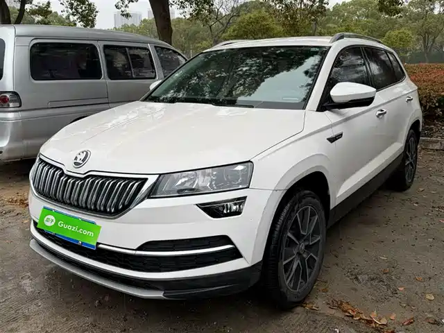 Skoda Korok Korok 2020 Tsi280 Zhixing Technology Edition National Vi — фото