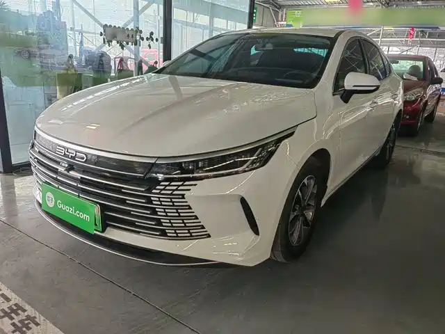 Byd Destroyer 05 Destroyer 05 2024 Honor Edition Dm-I 55km Luxury Type — фото