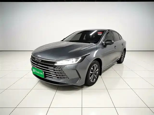 Byd Destroyer 05 Destroyer 05 2024 Honor Edition Dm-I 55km Luxury Type — фото