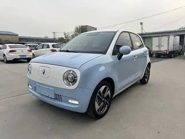 Euler Euler Black Cat Euler Black Cat 2022 Model 351km Comfort Type Ternary Lithium — фото