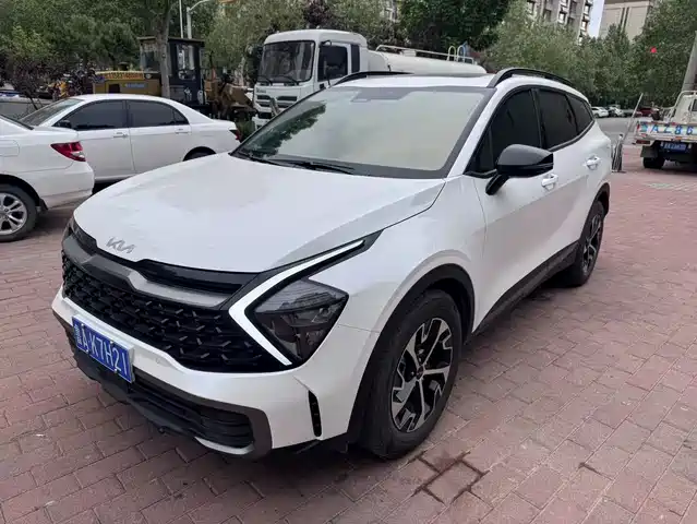 Kia Lion Platinum Expands the Boundary Lion Platinum Extension 2023 1.5t Two-Wheel Drive Premium Version — фото