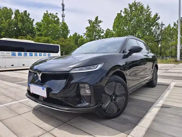 Lantu Automobile Lantu Bosom Friend Lantu Zhiyin 2024 Four-Wheel Drive Global Version — фото