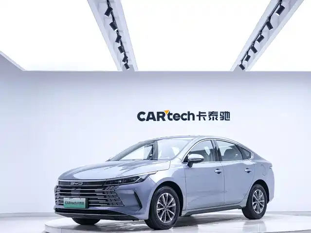 Byd Destroyer 05 Destroyer 05 2024 Honor Edition Dm-I 55km Luxury Type — фото