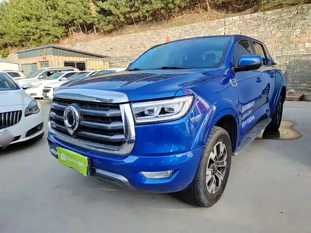 Great Wall Gun Cannon 2021 2.0t Passenger Global Version Automatic Diesel Two-Wheel Drive Comfort Standard Box Gw4d20m — фото