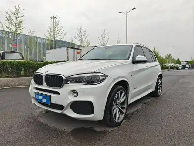 Bmw Bmw X5 (Imported) Bmw X5 Imported 2018 Xdrive35i M Sports Model — фото