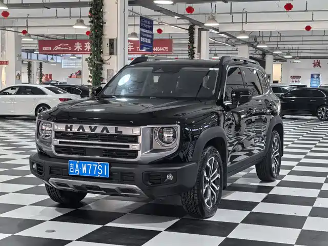 Harvard Harvard Dog Haval Big Dog 2024 1.5t Dct Border Collie Edition — фото
