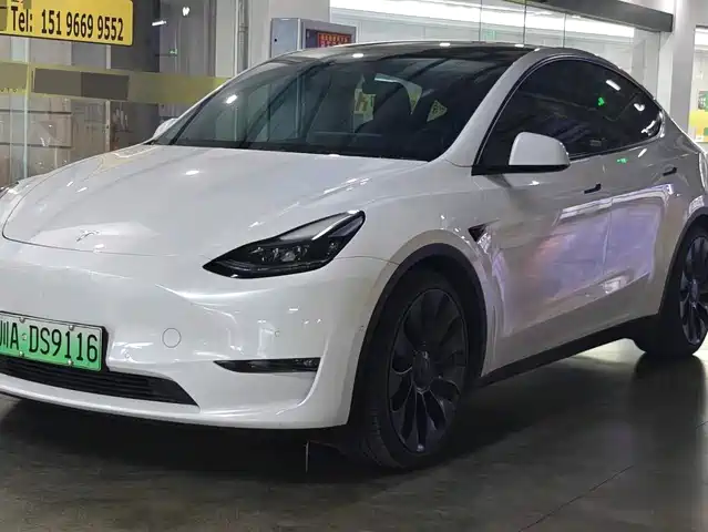 Tesla Model Y Model Y 2021 Performance High-Performance All-Wheel Drive Version — фото