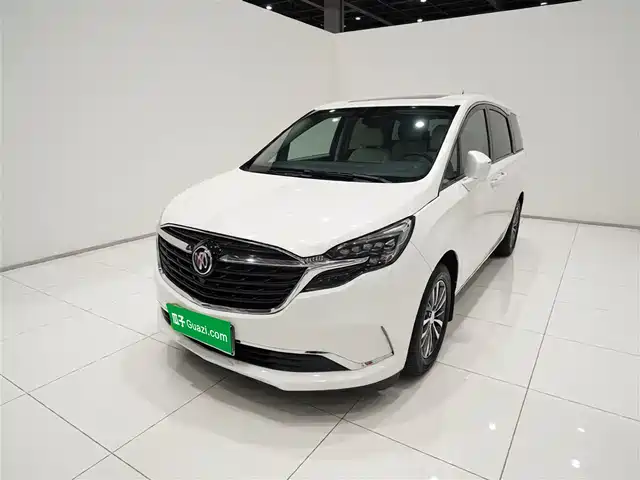 Buick Buick Gl8 Buick Gl8 2021 Es Lu Zun 653t Comfort Type — фото