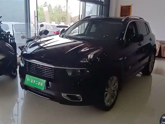 Lynk & Co Lynk & Co 01 Lynk & Co 01 2019 2.0t Two-Wheel Drive Pro Version National Vi — фото