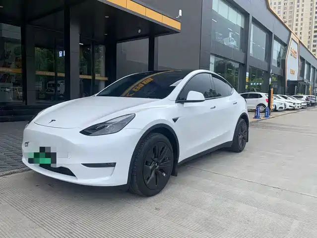 Tesla Model Y Model Y 2022 Facelift, Long-Range All-Wheel Drive Version — фото