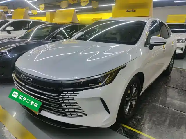 Byd Destroyer 05 Destroyer 05 2023 Champion Edition Dm-I 55km Luxury Type — фото