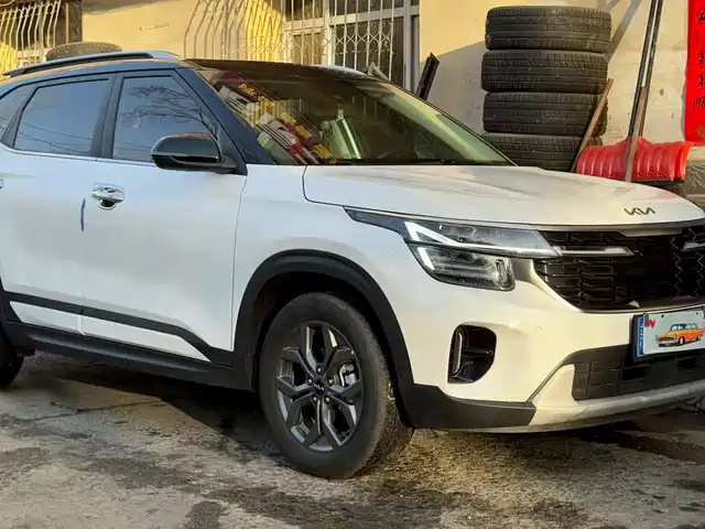 Kia Sethus Sethus 2023 1.5l Cvt Deluxe Edition — фото