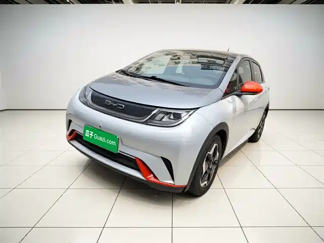 Byd Dolphin Dolphin 2021 405km Fashion Version — фото