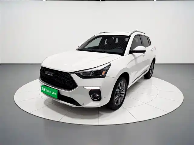 Harvard Haval H6 Coupe Haval H6 Coupe 2018 Red Label 1.5t Automatic Two-Wheel Drive Super Luxury Model — фото