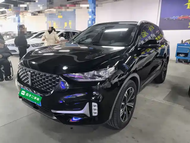 Wei Brand Wei Brand Vv6 Weipai Vv6 2021 2.0t 2wd Intelligent Protection+ — фото