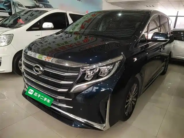 Gac Trumpchi Trumpchi M8 Trumpchi M8 2021 Lingxiu Series 390t Premium Edition — фото