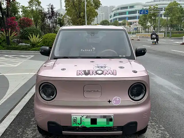 Geely Galaxy Panda Panda 2023 Panda Mini 200km Endurance Bear — фото