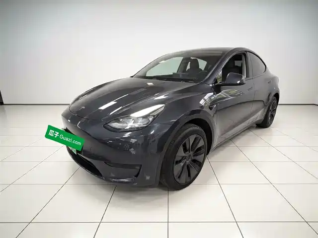 Tesla Model Y Model Y 2024 Rear-Wheel Drive Version — фото