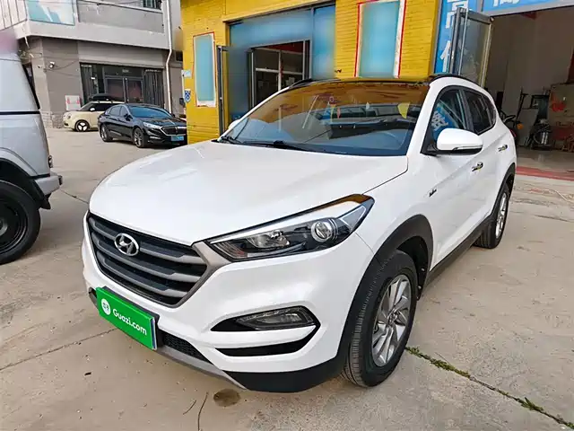 Hyundai Tucson Tucson 2018 1.6t Dual-Clutch Two-Wheel Drive 15th Anniversary Special Edition — фото
