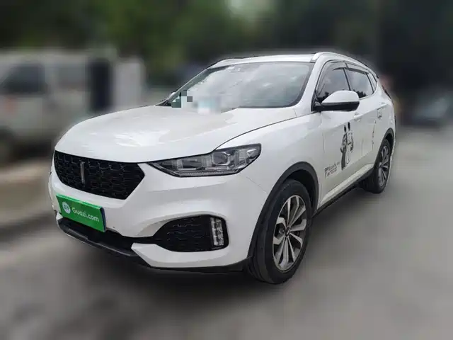 Wei Brand Wei Brand Vv6 Wei Brand Vv6 2018 2.0t Two-Wheel Drive Super Luxury Model, National V — фото