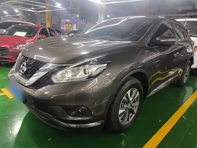 Nissan Loulan Loulan 2021 2.5l Xe 2wd Elite Edition — фото