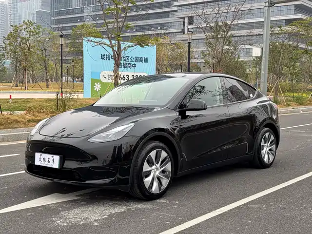 Tesla Model Y Model Y 2022 Facelift Rear-Wheel Drive Version — фото