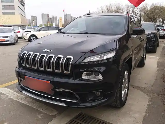 Jeep Free Light Freelight 2017 2.4l Professional Smart Edition — фото