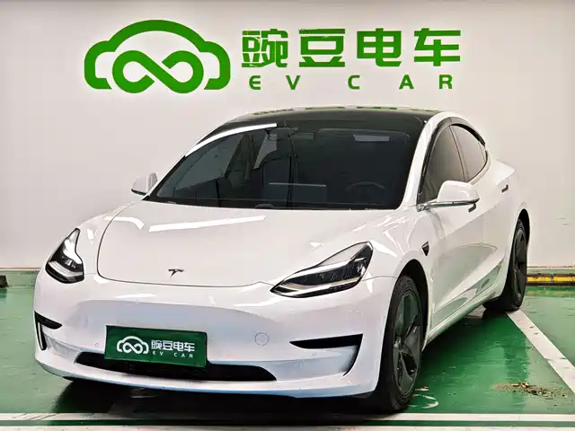 Tesla Model 3 Model 3 2020 Standard Range Rear Drive Upgraded Version — фото
