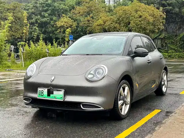 Euler Euler Good Cat Euler Good Cat 2023 Model 401km Standard Battery Life Luxury Model Lithium Iron Phosphate — фото