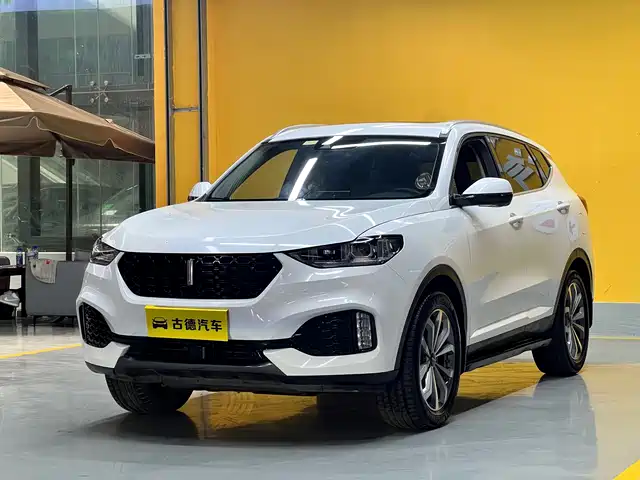 Wei Brand Wei Brand Vv6 Wei Brand Vv6 2018 2.0t Two-Wheel Drive Super Luxury Model, National V — фото