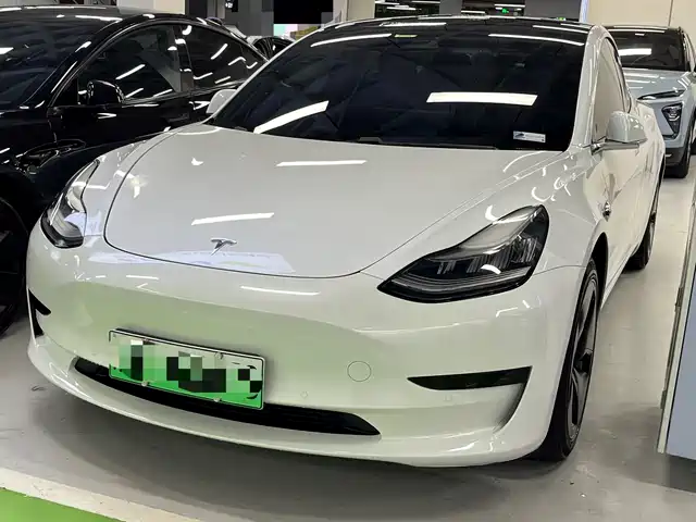 Tesla Model 3 Model 3 2020 Standard Range Rear Drive Upgraded Version — фото