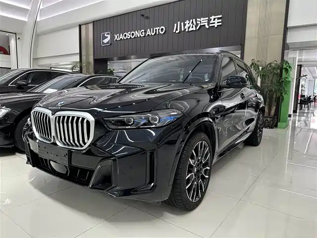 Bmw Bmw X5 Bmw X5 2023 Xdrive 40li M Sports Night Package — фото