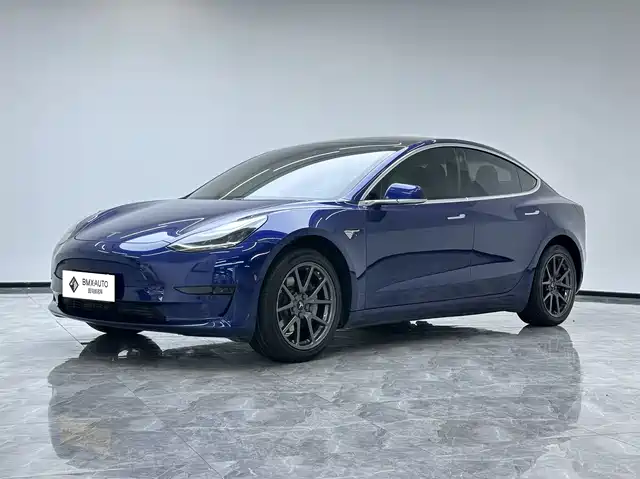 Tesla Model 3 Model 3 2020 Standard Range Rear Drive Upgraded Version — фото