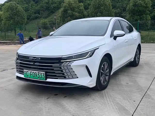 Byd Destroyer 05 Destroyer 05 2024 Honor Edition Dm-I 55km Luxury Type — фото