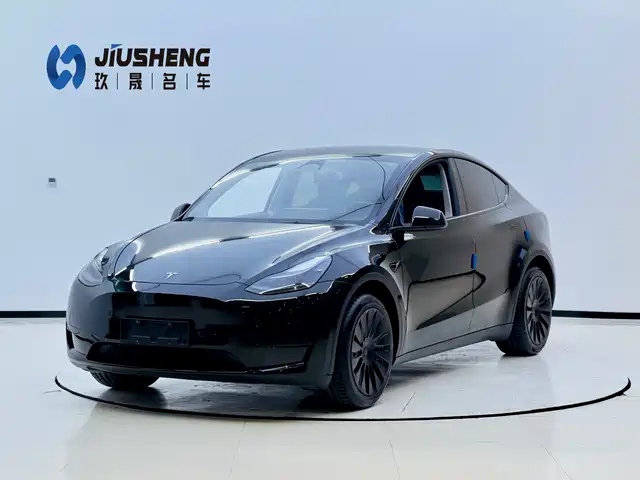 Tesla Model Y Model Y 2022 Rear-Wheel Drive Version — фото