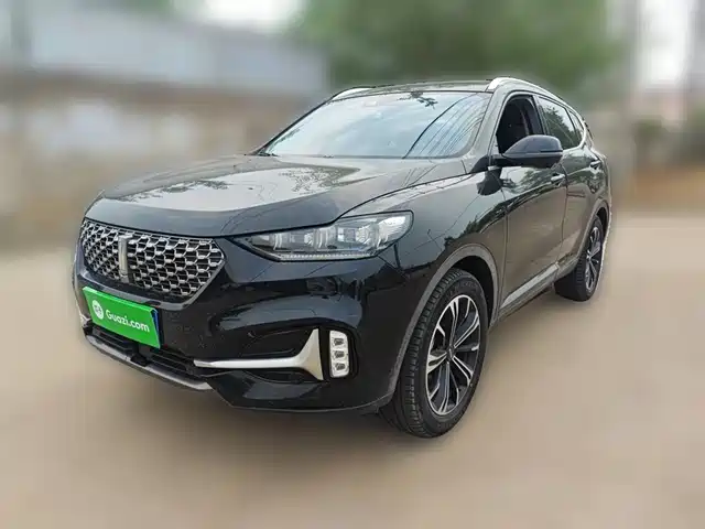 Wei Brand Wei Brand Vv6 Weipai Vv6 2021 2.0t 2wd Intelligent Protection+ — фото
