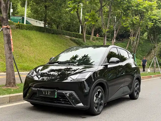 Byd Seagull Seagull 2024 Honor Edition 405km Flying Edition — фото
