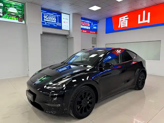 Tesla Model Y Model Y 2021 Long-Range All-Wheel Drive Version — фото