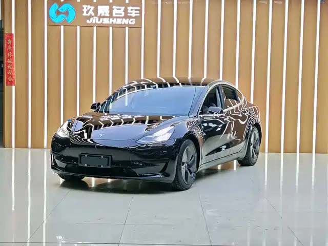 Tesla Model 3 Model 3 2020 Facelift Standard Range Rear-Wheel Drive Upgraded Version — фото