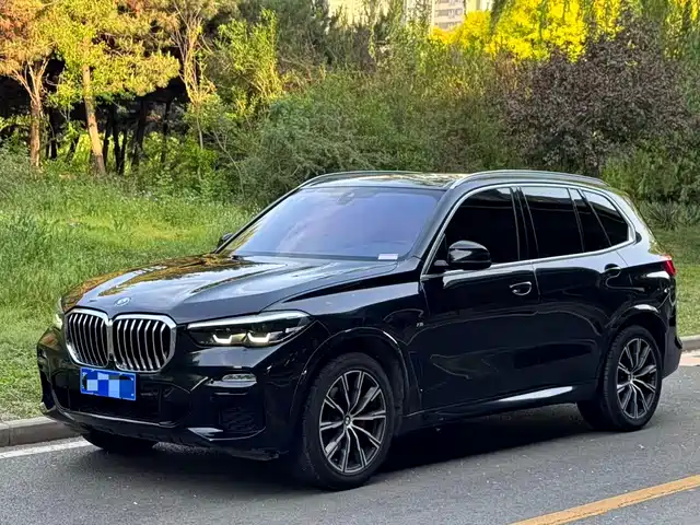 Bmw Bmw X5 (Imported) Bmw X5 Imported 2021 Xdrive30i M Sports Package — фото