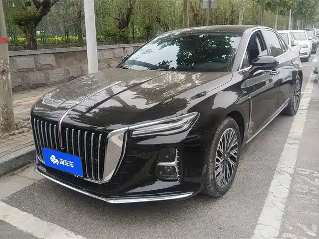 Red Flag Hongqi H5 Hongqi H5 2025 2.0t Automatic Qichang 500,000 Units Commemorative Edition — фото