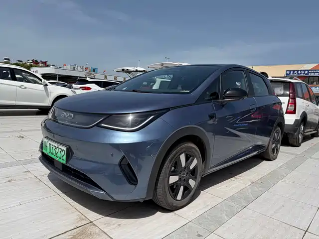 Byd Dolphin Dolphin 2025 Smart Driving Version 410km Fashion Version — фото