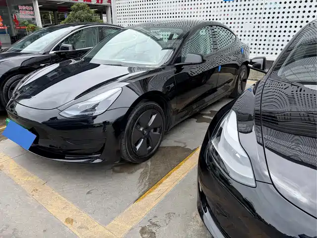 Tesla Model 3 Model 3 2022 Rear-Wheel Drive Version — фото