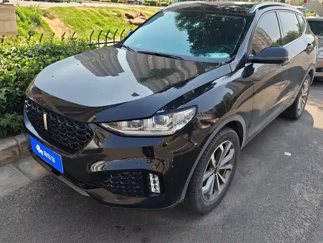 Wei Brand Wei Brand Vv6 Wei Brand Vv6 2018 2.0t Two-Wheel Drive Super Luxury Model, National V — фото