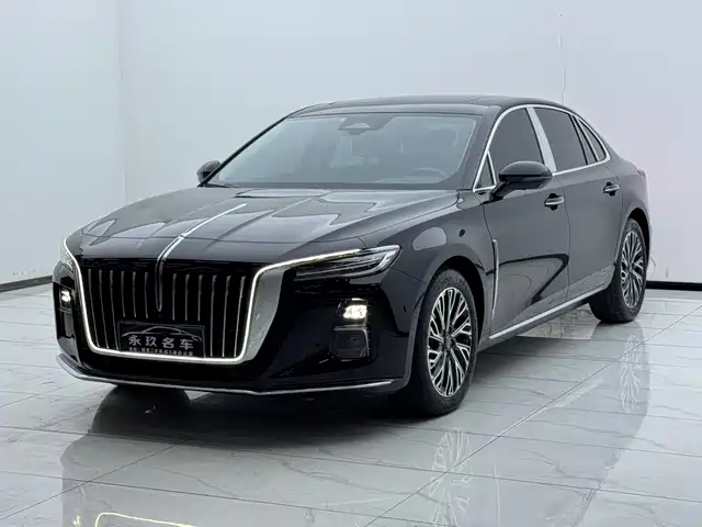 Red Flag Hongqi H5 Hongqi H5 2023 2.0t Automatic Zhilianqichang Edition — фото