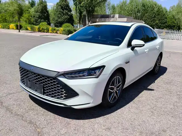Byd Qin Plus Qin Plus 2023 Champion Edition Dm-I 120km Transcendent Type — фото