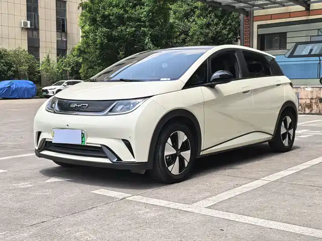 Byd Dolphin Dolphin 2023 420km Fashion Edition — фото