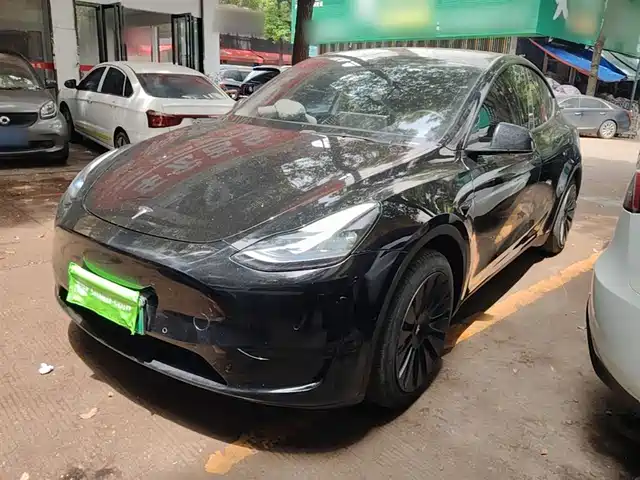 Tesla Model Y Model Y 2022 Facelift Rear-Wheel Drive Version — фото