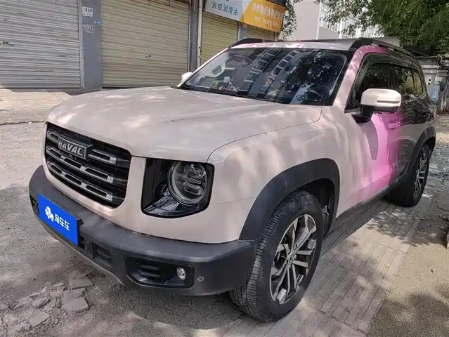 Harvard Harvard Dog Haval Big Dog 2021 1.5t Dct Two-Wheel Drive Border Collie Version — фото